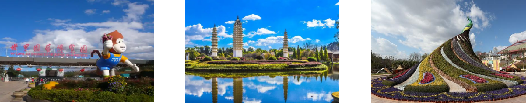 新利luck18(中国)体育·官方网站