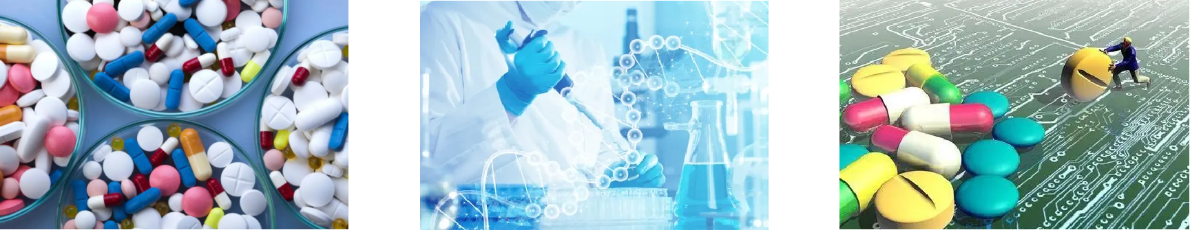 新利luck18(中国)体育·官方网站