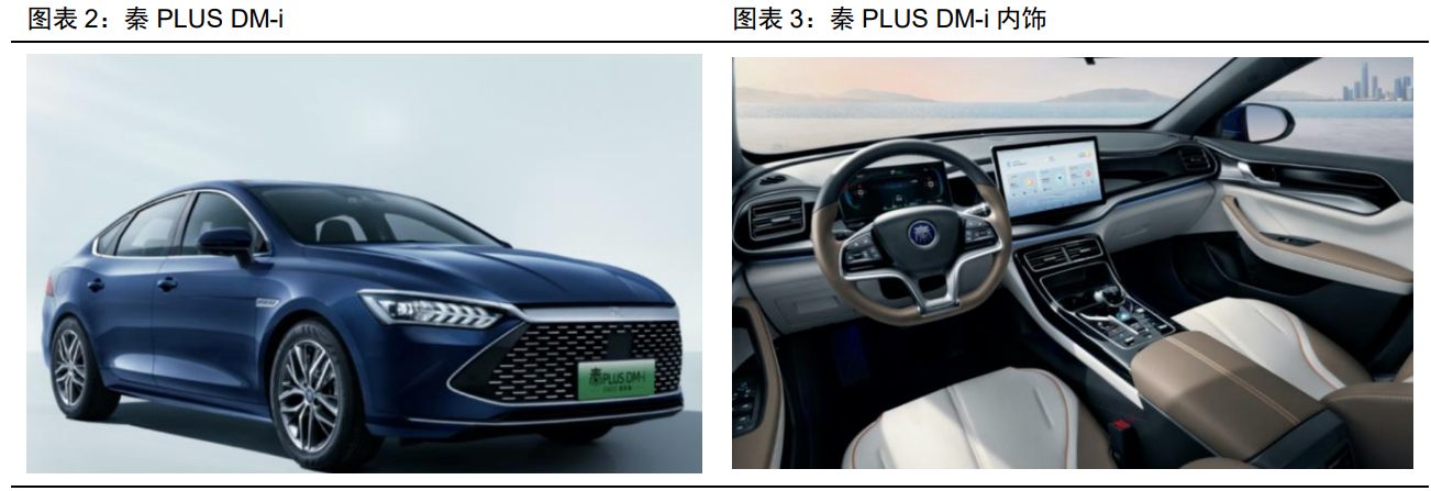 新利luck18(中国)体育·官方网站