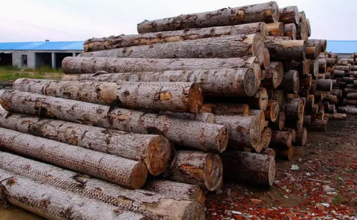 新利luck18(中国)体育·官方网站