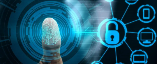 新利luck18(中国)体育·官方网站