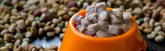 新利luck18(中国)体育·官方网站