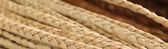 新利luck18(中国)体育·官方网站