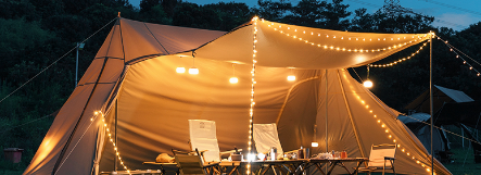 新利luck18(中国)体育·官方网站