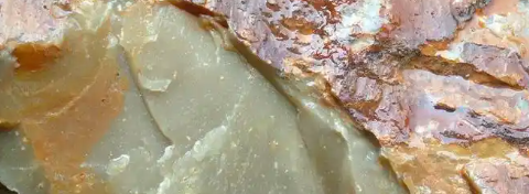 新利luck18(中国)体育·官方网站