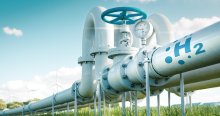 新利luck18(中国)体育·官方网站