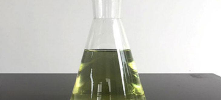 新利luck18(中国)体育·官方网站