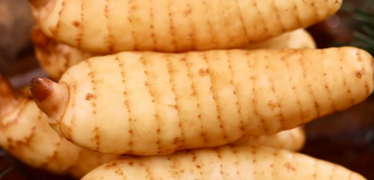 新利luck18(中国)体育·官方网站