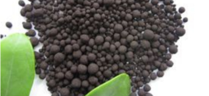 新利luck18(中国)体育·官方网站