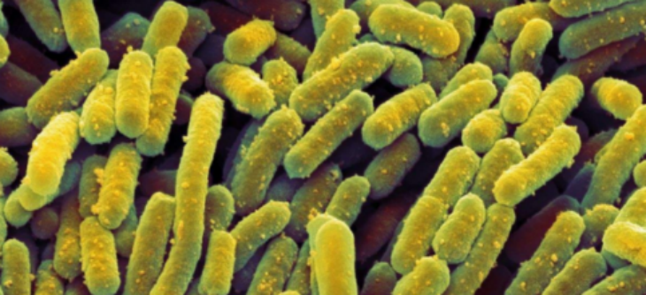 新利luck18(中国)体育·官方网站