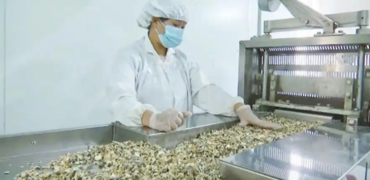 新利luck18(中国)体育·官方网站