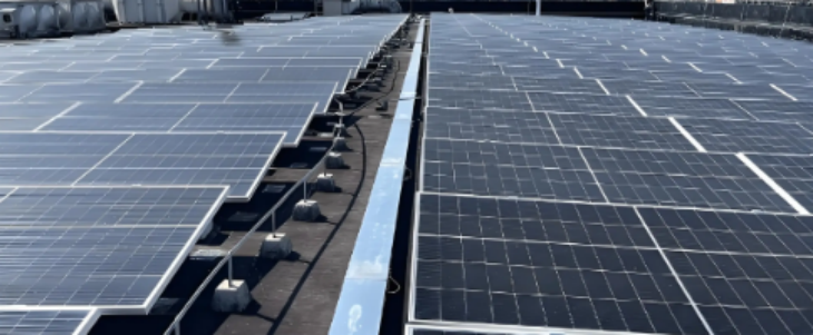 新利luck18(中国)体育·官方网站