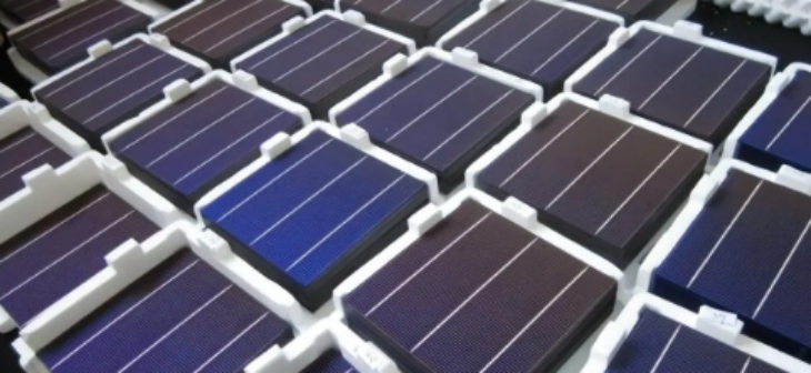 新利luck18(中国)体育·官方网站