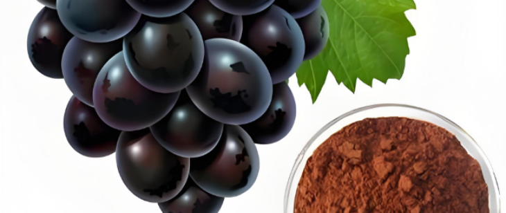 新利luck18(中国)体育·官方网站