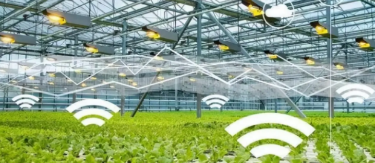 新利luck18(中国)体育·官方网站