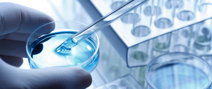 新利luck18(中国)体育·官方网站