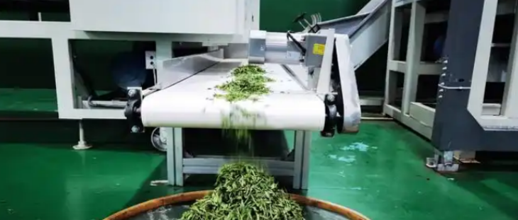 新利luck18(中国)体育·官方网站