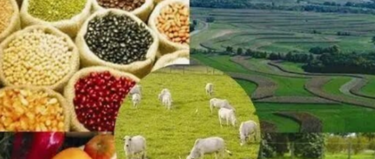 新利luck18(中国)体育·官方网站