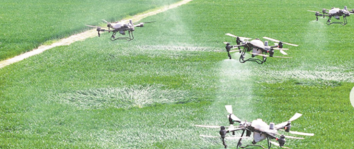 新利luck18(中国)体育·官方网站